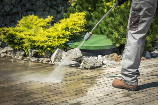 Trusted South Houston, TX Pressure Washing Services Experts