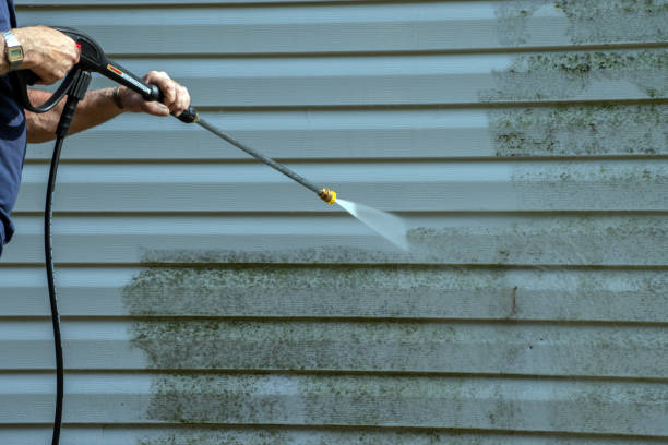 Best Roof Washing  in South Houston, TX