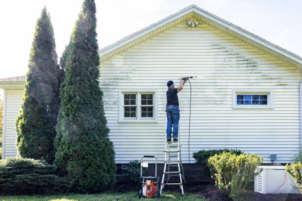 Best Residential House Exterior Washing  in South Houston, TX